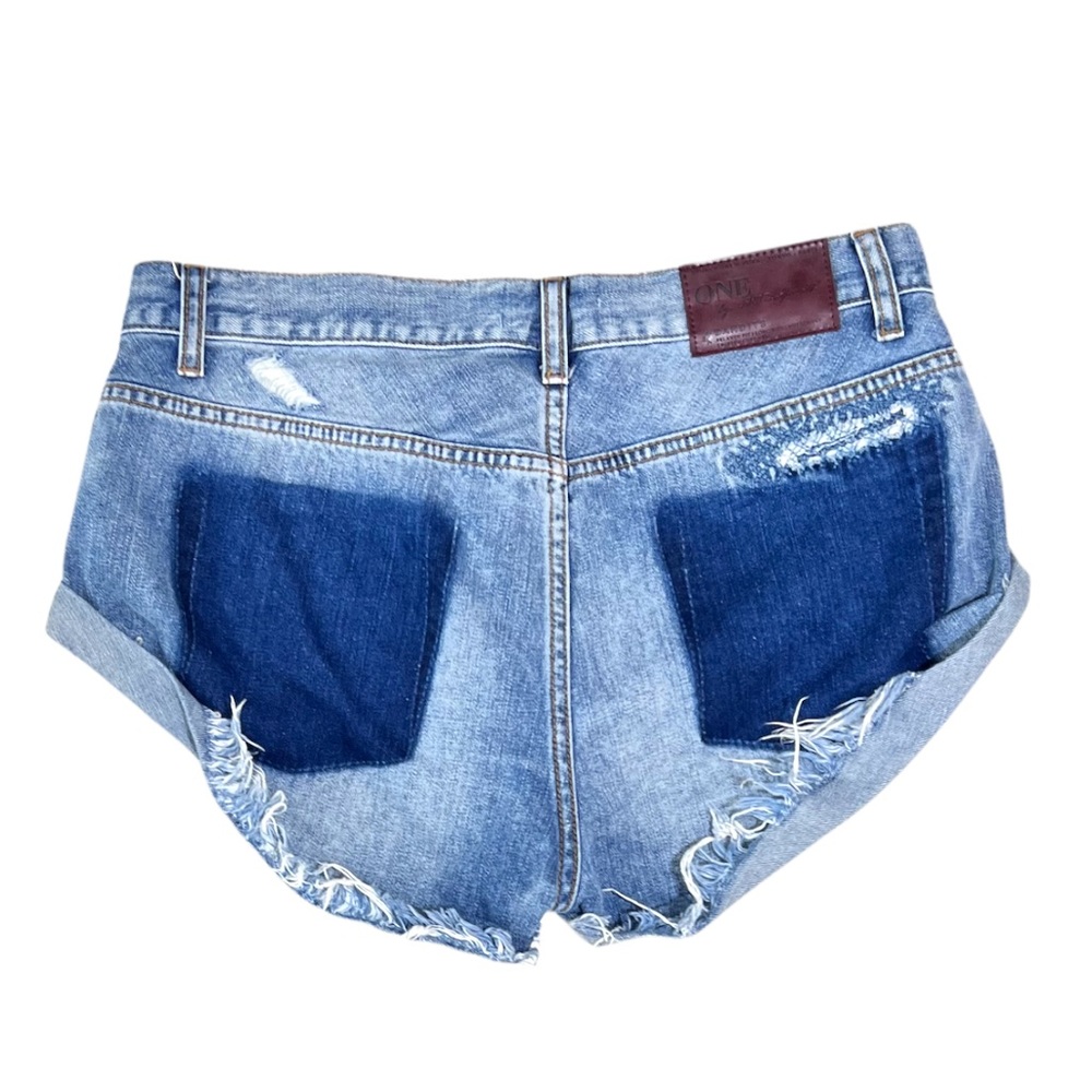 One X One Teaspoon Bandit Distressed Denim Shorts